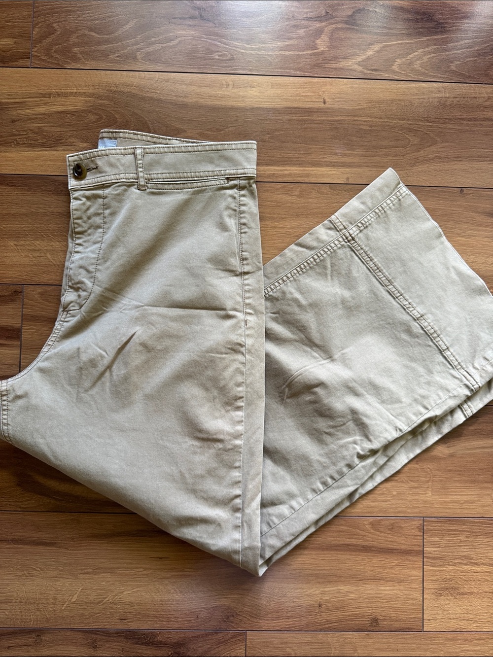 Everlane Caramel Flat Front Crop Pants 12